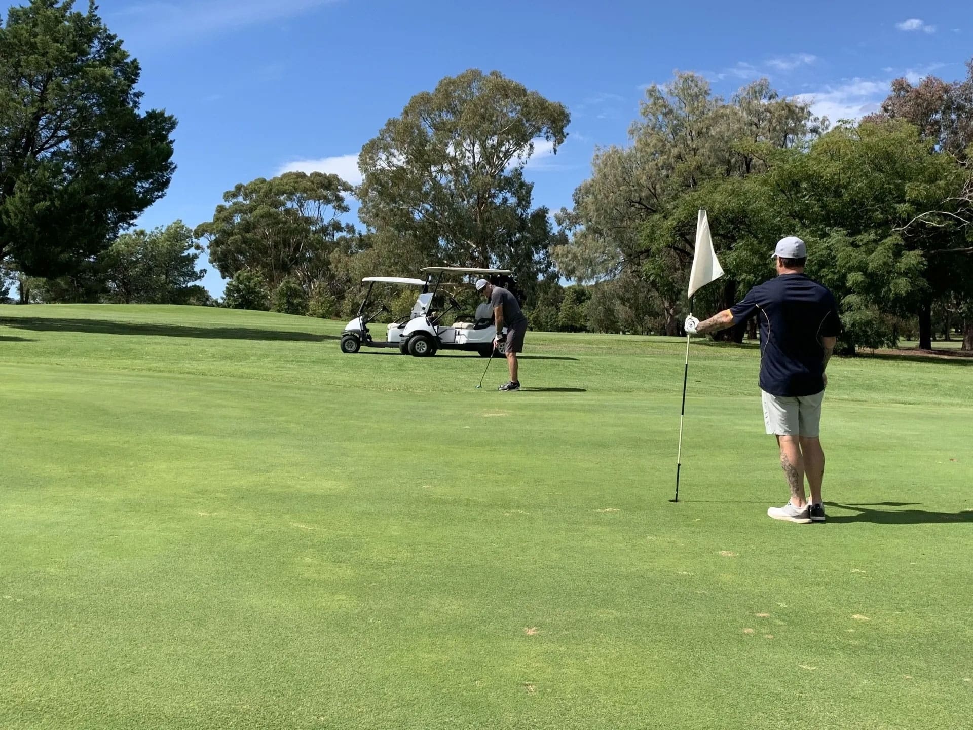 Golfers putting on the green with carts in background